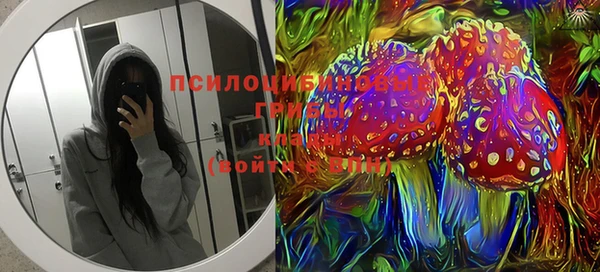 прущие крисы Осинники