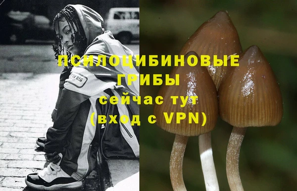 бутират Осташков