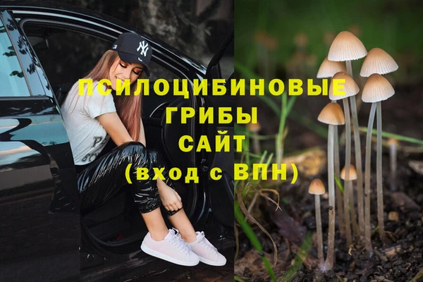 ешки Остров