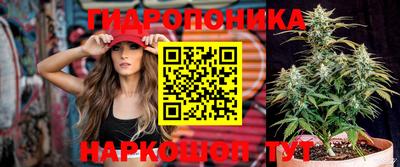 трава Аргун