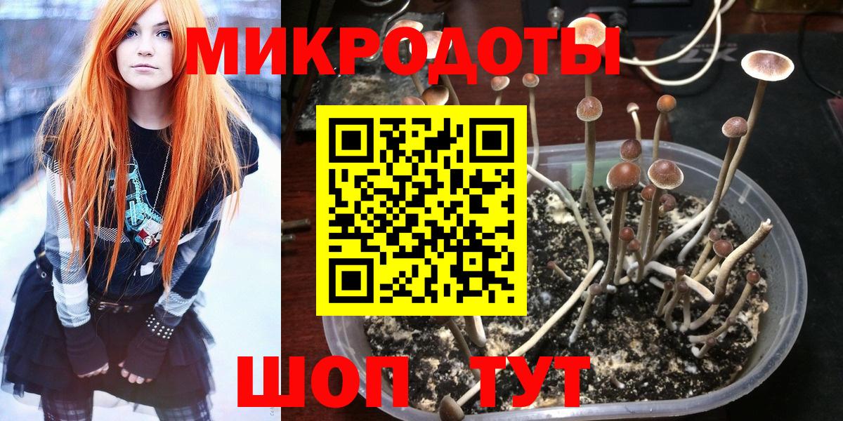 Псилоцибиновые грибы Psilocybe  Вход с VPN  наркота  Северобайкальск  Галлюциногенные грибы мухоморы 